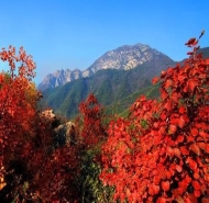 大鸿寨风景区天气预报