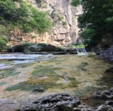 蟒河景区天气预报