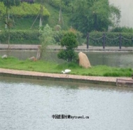 千龙湖生态旅游度假村天气预报