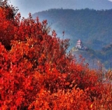 香山风景区天气预报