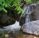 重渡沟天气预报