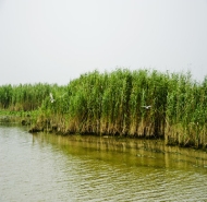 东平湖湿地公园天气预报