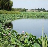 沈阳仙子湖天气预报